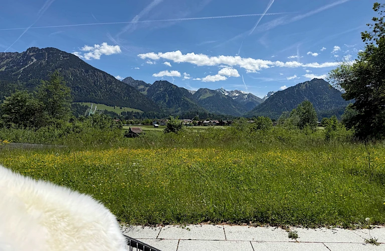 Ausblick auf Oberstdorf und die Berge im Frühling